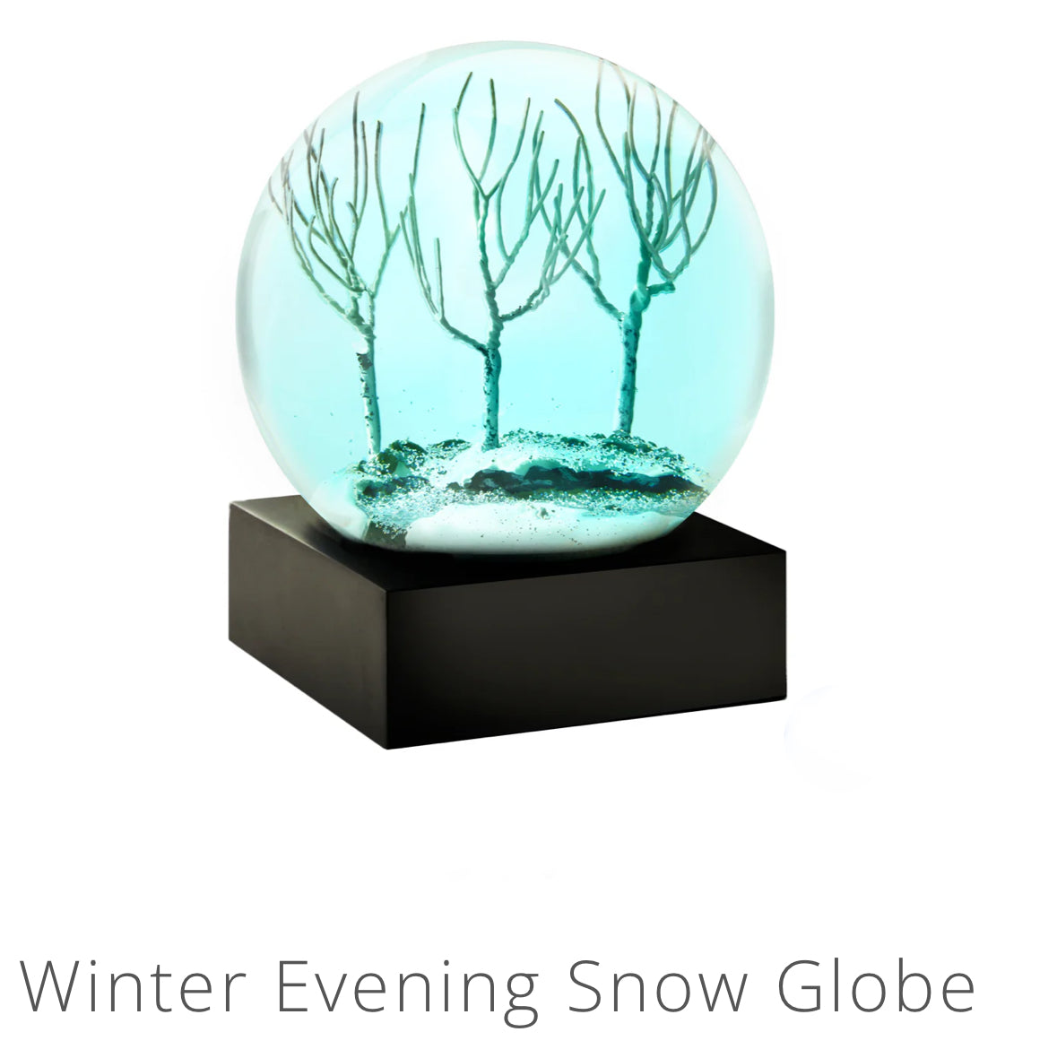 Winter Evening Snow Globe