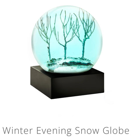 Winter Evening Snow Globe
